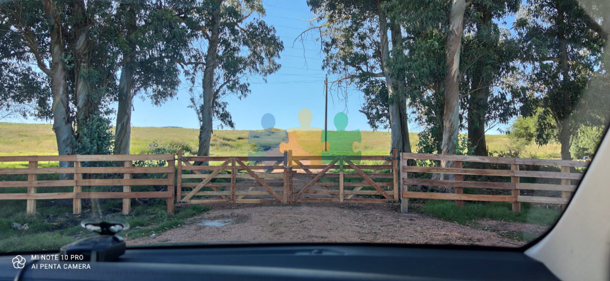 La Pataia - GoPunta - Portal Inmobiliario de Punta del Este - Maldonado