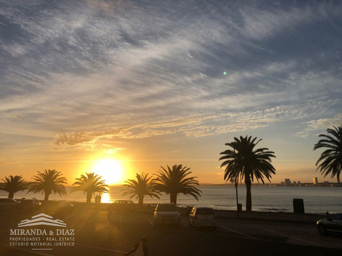 Península - GoPunta - Portal Inmobiliario de Punta del Este - Maldonado