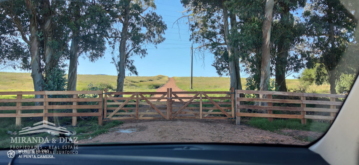 La Pataia - GoPunta - Portal Inmobiliario de Punta del Este - Maldonado
