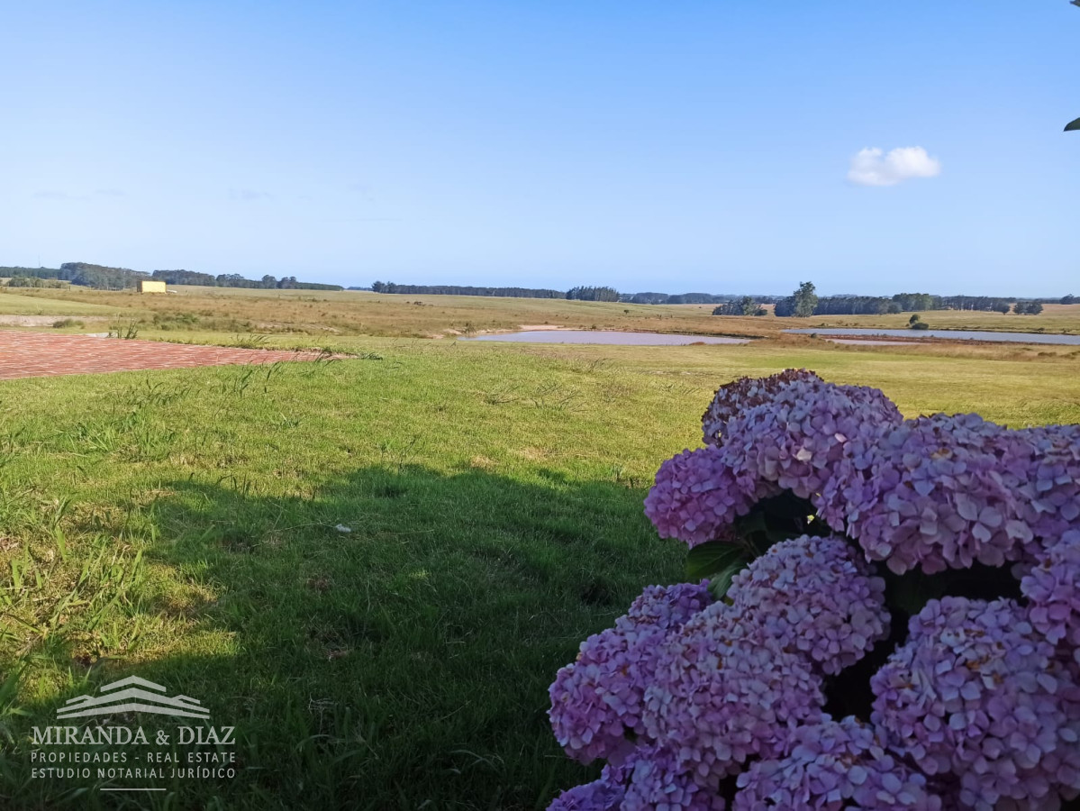 Chacra - GoPunta - Portal Inmobiliario de Punta del Este - Maldonado
