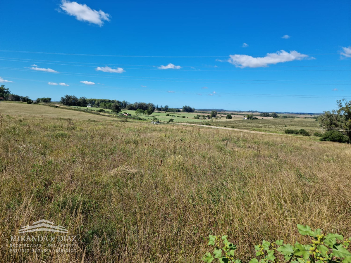 La Pataia - GoPunta - Portal Inmobiliario de Punta del Este - Maldonado