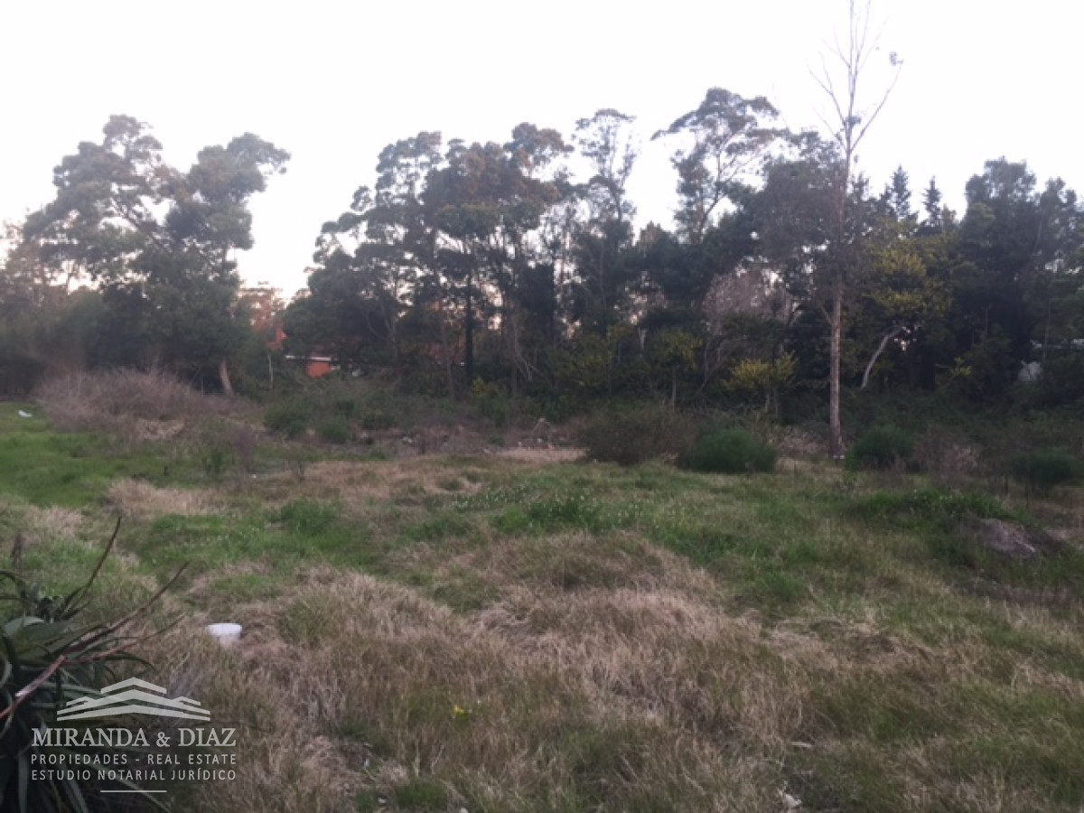 Solanas - GoPunta - Portal Inmobiliario de Punta del Este - Maldonado