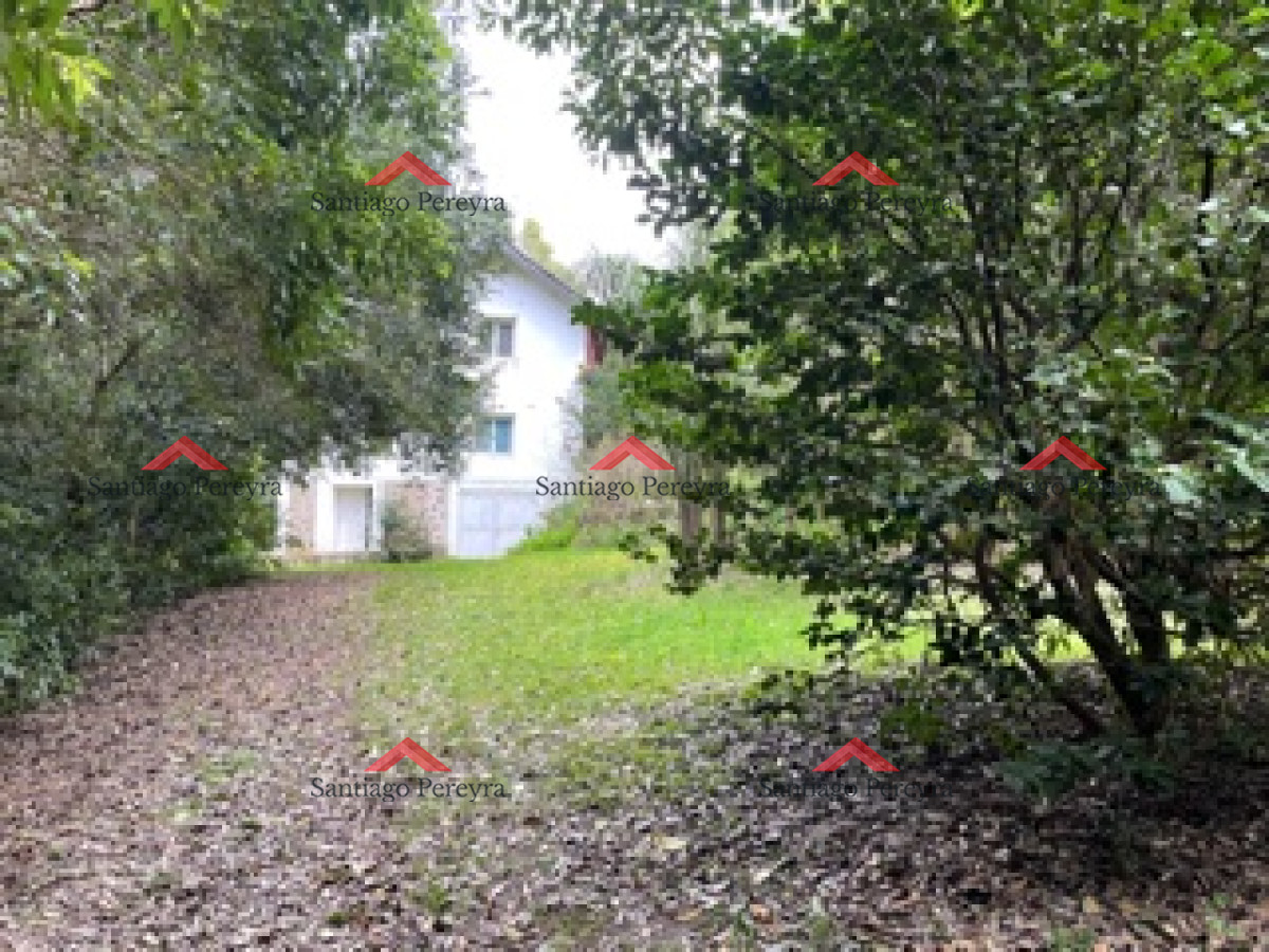 Punta Ballena - GoPunta - Portal Inmobiliario de Punta del Este - Maldonado
