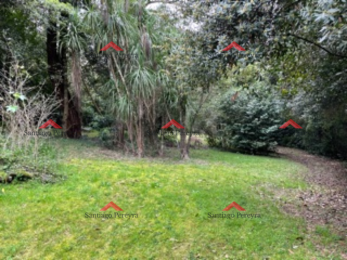 Punta Ballena - GoPunta - Portal Inmobiliario de Punta del Este - Maldonado
