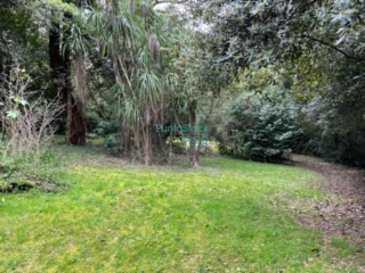 venta punta del este punta ballena casa terreno - psk887c
