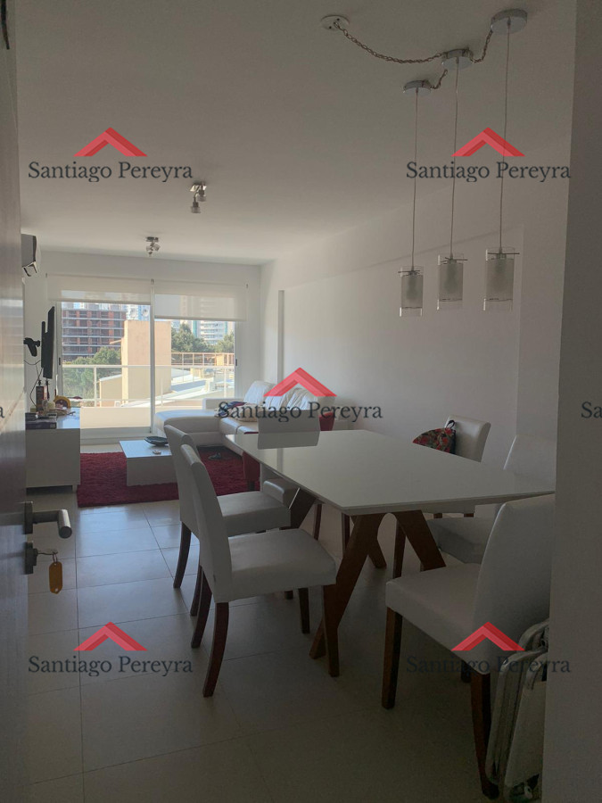 Aidy Grill - GoPunta - Portal Inmobiliario de Punta del Este - Maldonado