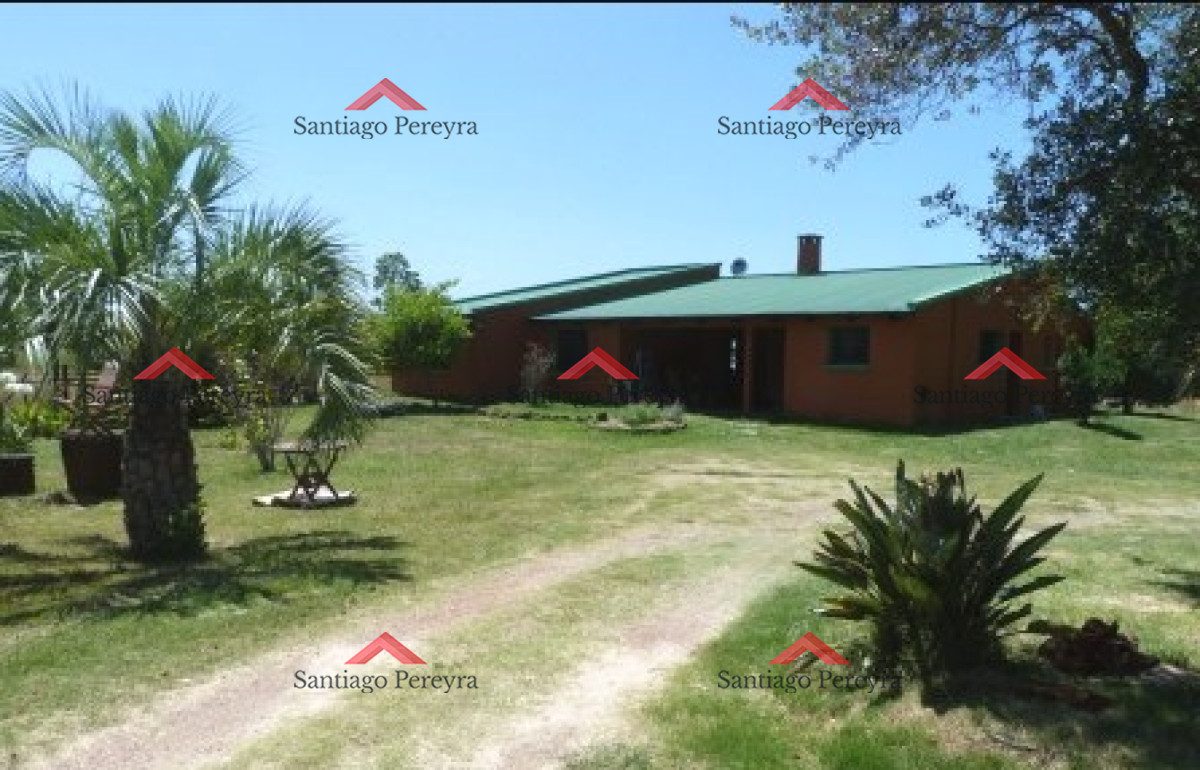 Laguna del Sauce - GoPunta - Portal Inmobiliario de Punta del Este - Maldonado