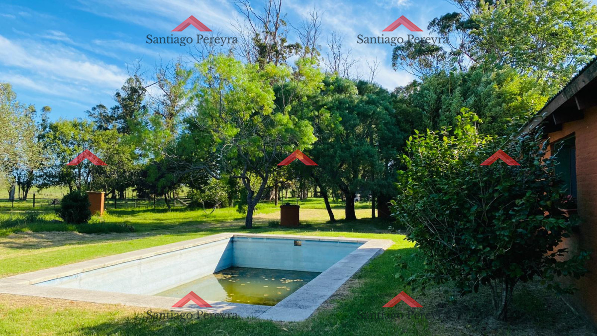 Laguna del Sauce - GoPunta - Portal Inmobiliario de Punta del Este - Maldonado