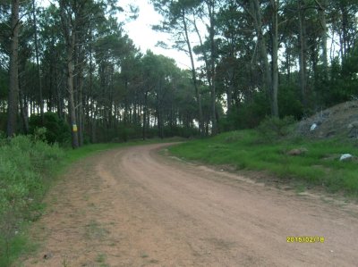 financia. se vende terreno esquinero en punta ballena, excelente ubicación.  - ivp7279t