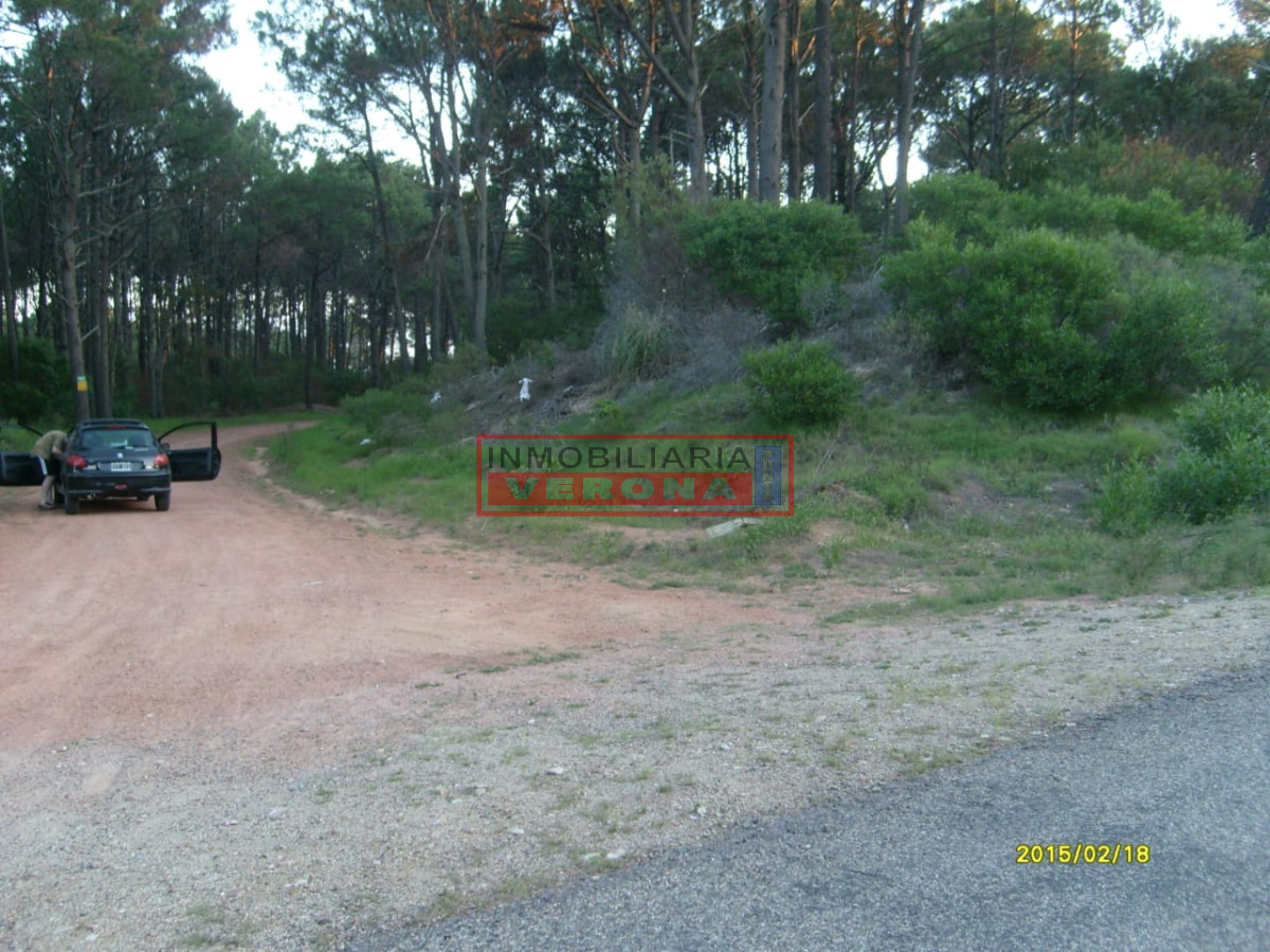 Club del Lago - GoPunta - Portal Inmobiliario de Punta del Este - Maldonado