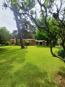 Vende casa de 3 dormitorios en Cantegril, punta del este 