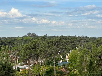 Apartamento 3 dormitorios en edificio de categoría en Punta del Este!