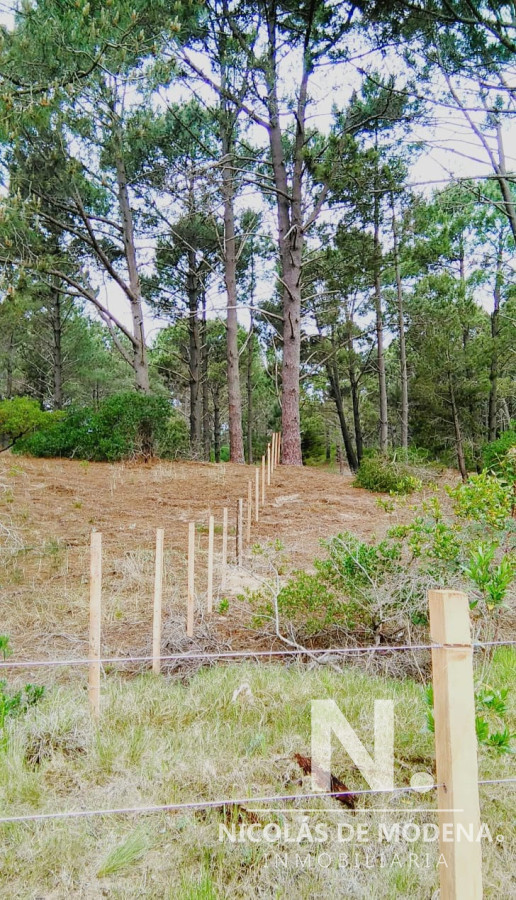 Club del Lago - GoPunta - Portal Inmobiliario de Punta del Este - Maldonado