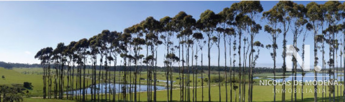 Laguna Estates - GoPunta - Portal Inmobiliario de Punta del Este - Maldonado