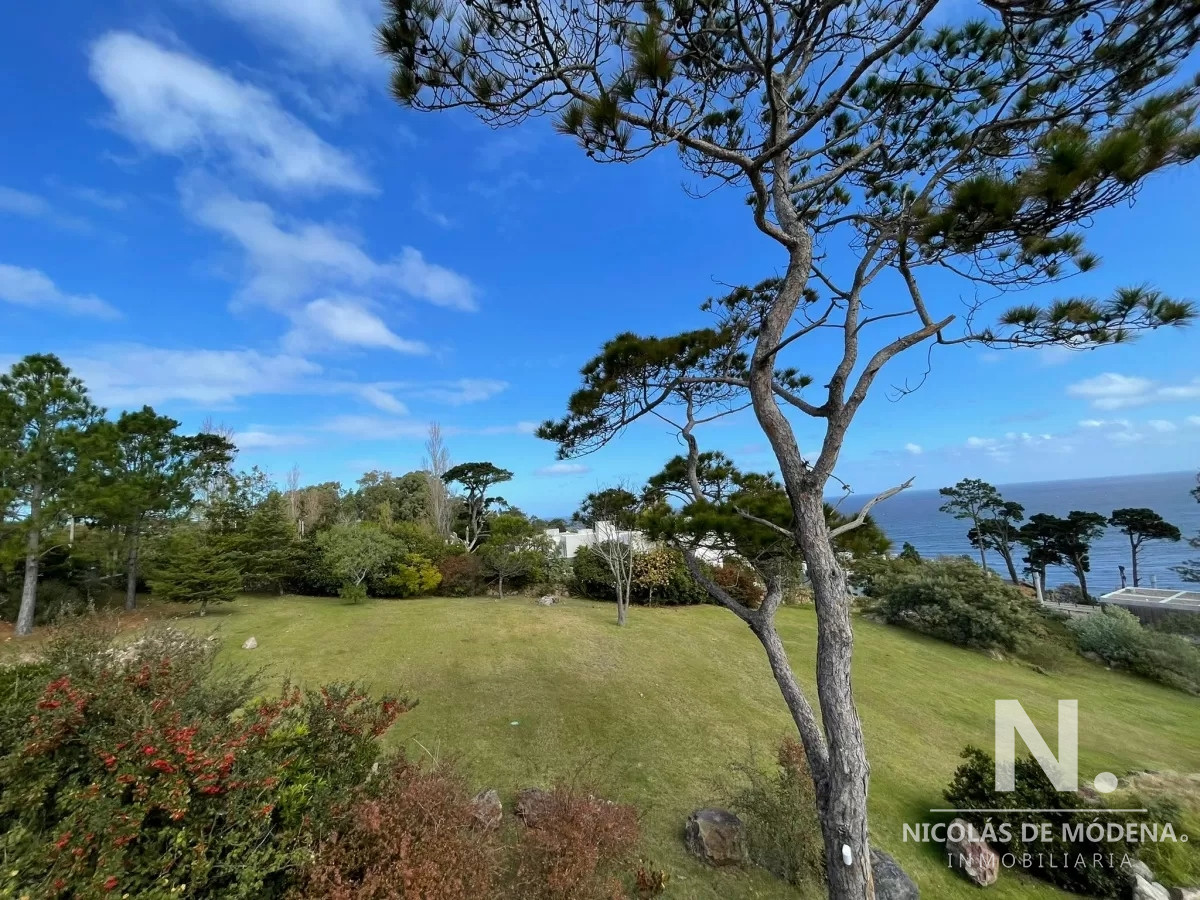 Lomo de la Ballena - GoPunta - Portal Inmobiliario de Punta del Este - Maldonado