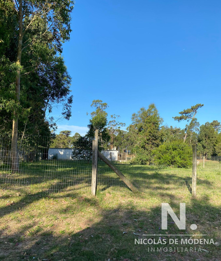 Marly - GoPunta - Portal Inmobiliario de Punta del Este - Maldonado