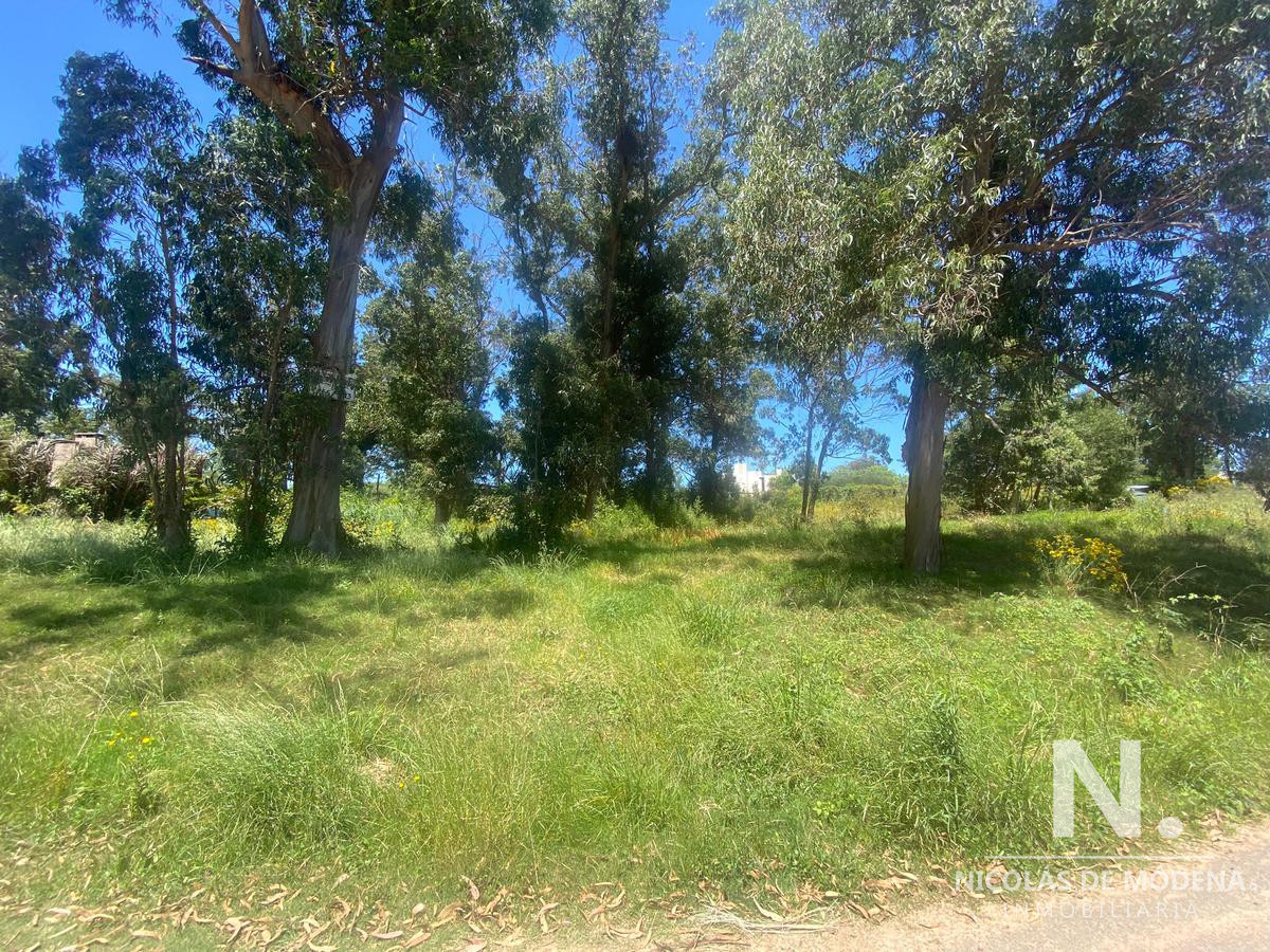 El Chorro - GoPunta - Portal Inmobiliario de Punta del Este - Maldonado