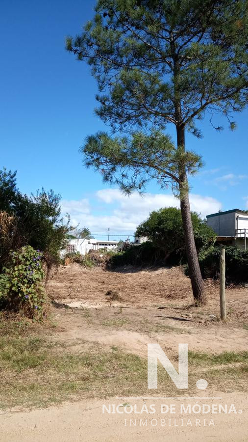 Balneario Buenos Aires - GoPunta - Portal Inmobiliario de Punta del Este - Maldonado