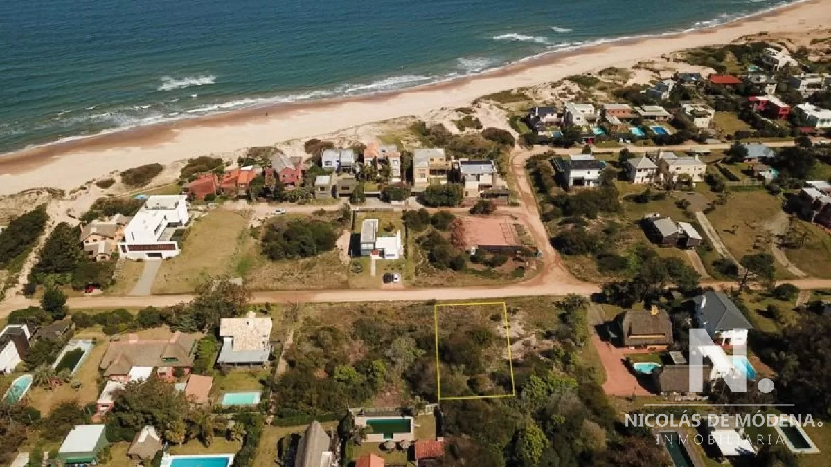 Tio Tom - GoPunta - Portal Inmobiliario de Punta del Este - Maldonado