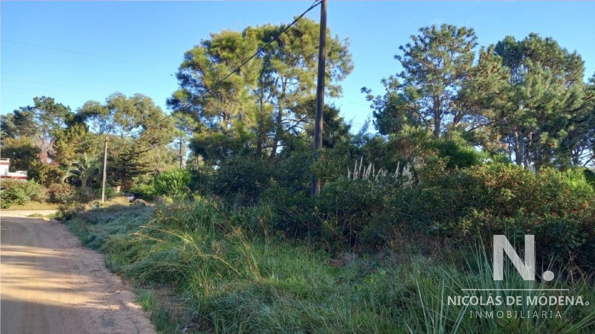La Barra - GoPunta - Portal Inmobiliario de Punta del Este - Maldonado