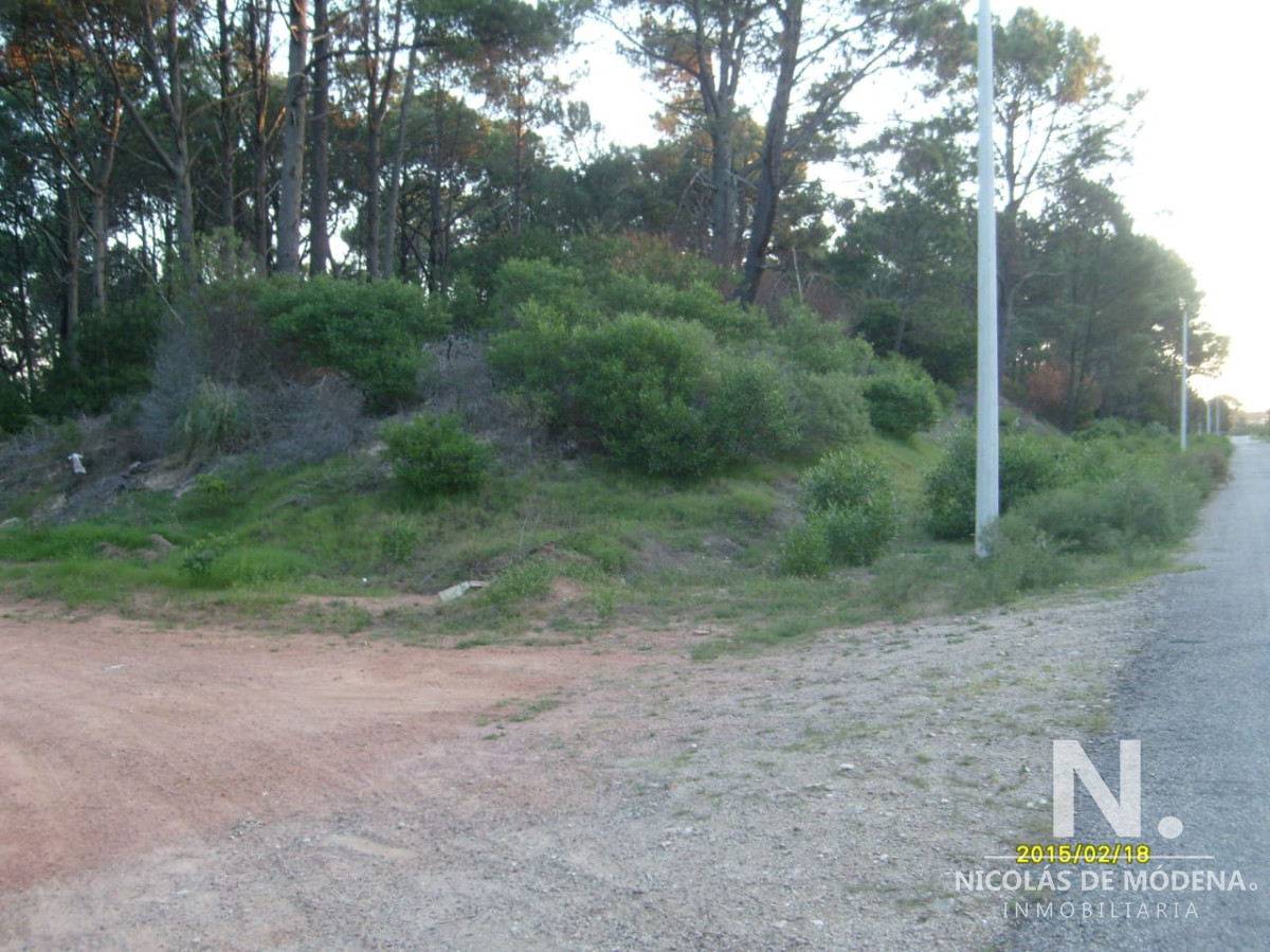 Club del Lago - GoPunta - Portal Inmobiliario de Punta del Este - Maldonado