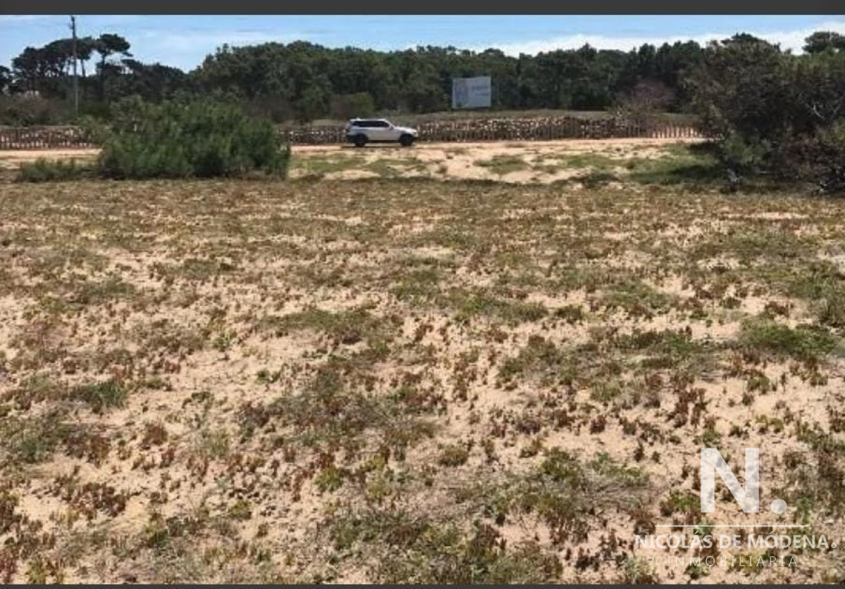 San Vicente - GoPunta - Portal Inmobiliario de Punta del Este - Maldonado