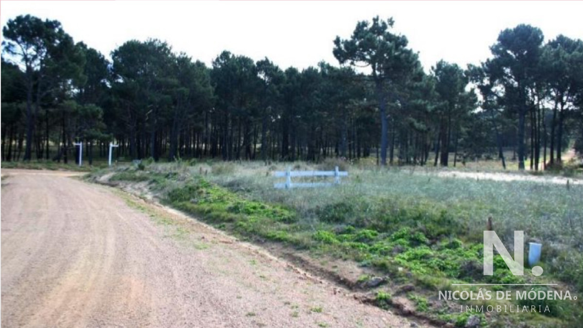Barra Verde - GoPunta - Portal Inmobiliario de Punta del Este - Maldonado