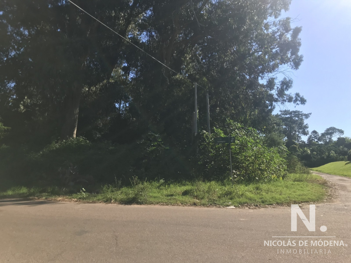 Punta del Este - GoPunta - Portal Inmobiliario de Punta del Este - Maldonado
