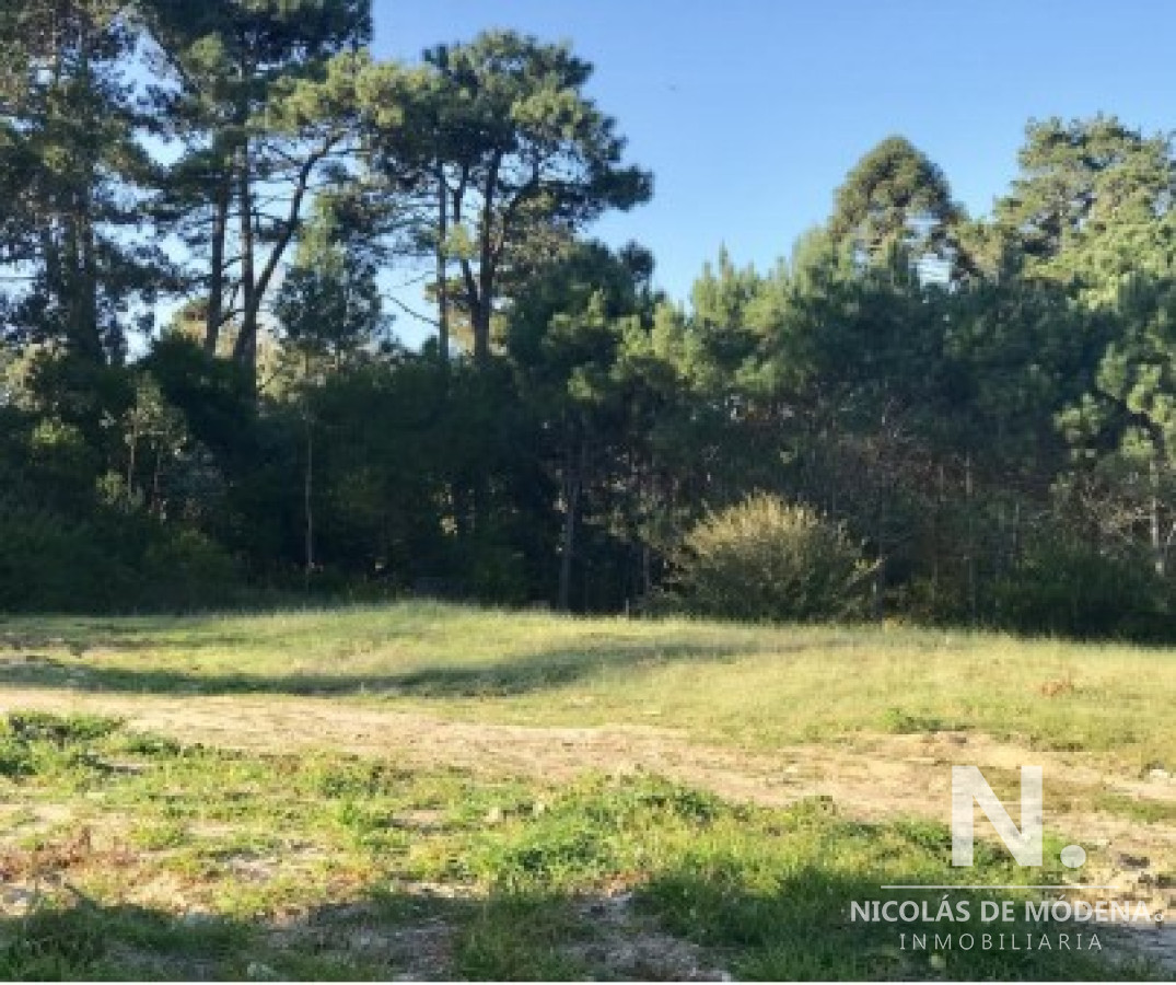 San Rafael - GoPunta - Portal Inmobiliario de Punta del Este - Maldonado