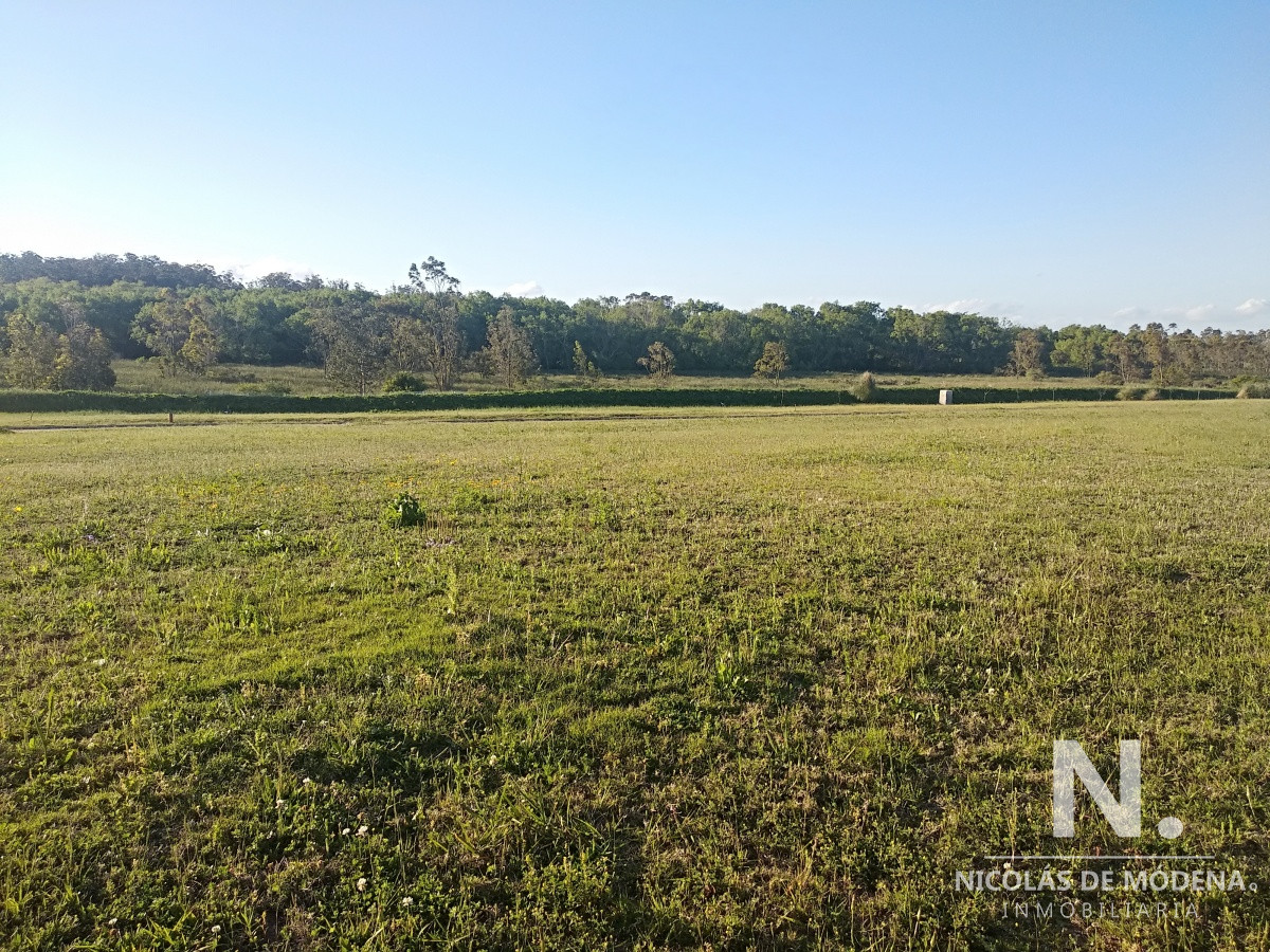 Maldonado - GoPunta - Portal Inmobiliario de Punta del Este - Maldonado