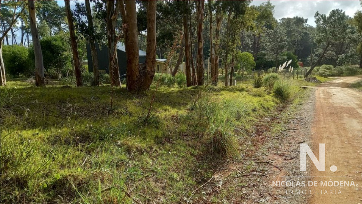 Barra Verde - GoPunta - Portal Inmobiliario de Punta del Este - Maldonado