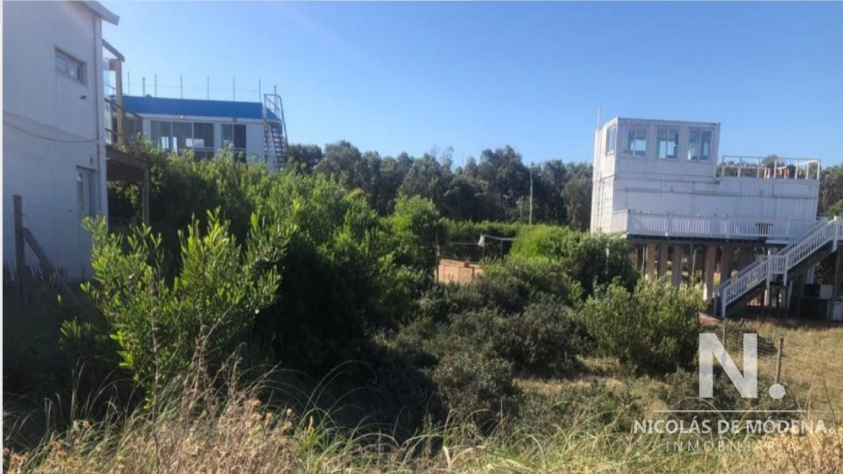 Sauce de Portezuelo - GoPunta - Portal Inmobiliario de Punta del Este - Maldonado