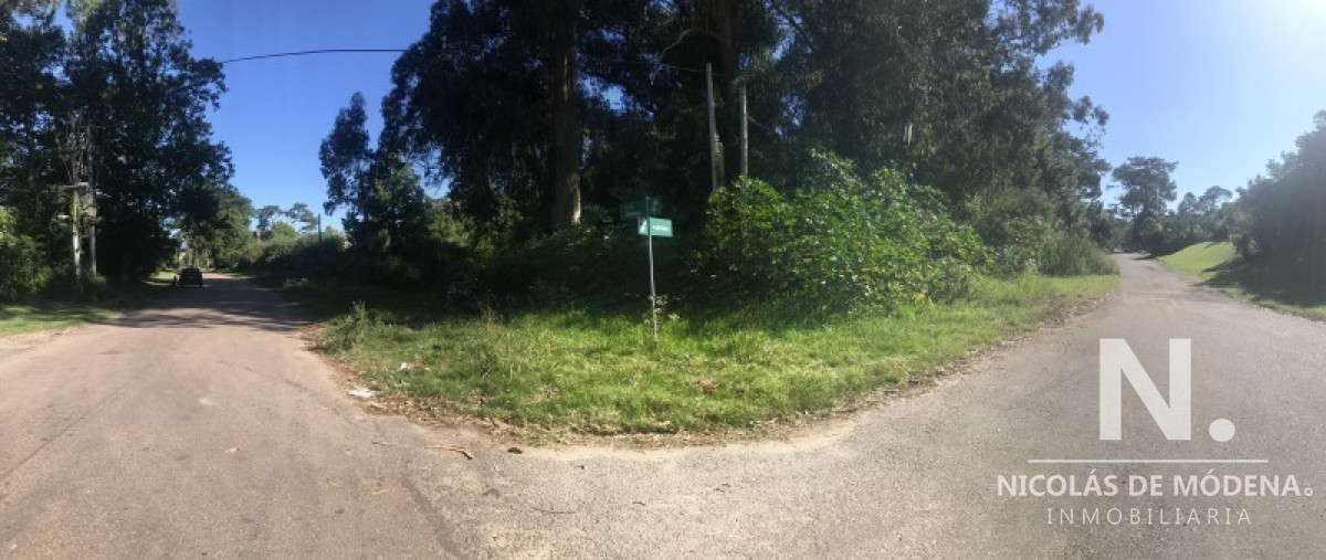 Punta del Este - GoPunta - Portal Inmobiliario de Punta del Este - Maldonado
