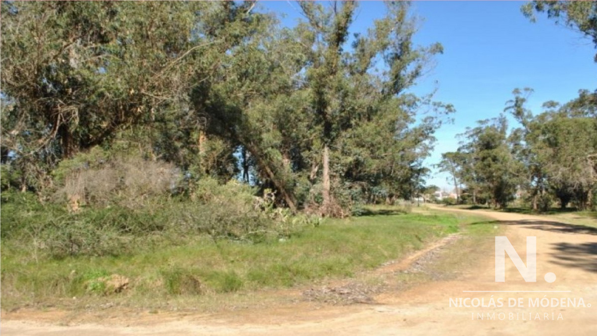 Club de La Barra - GoPunta - Portal Inmobiliario de Punta del Este - Maldonado