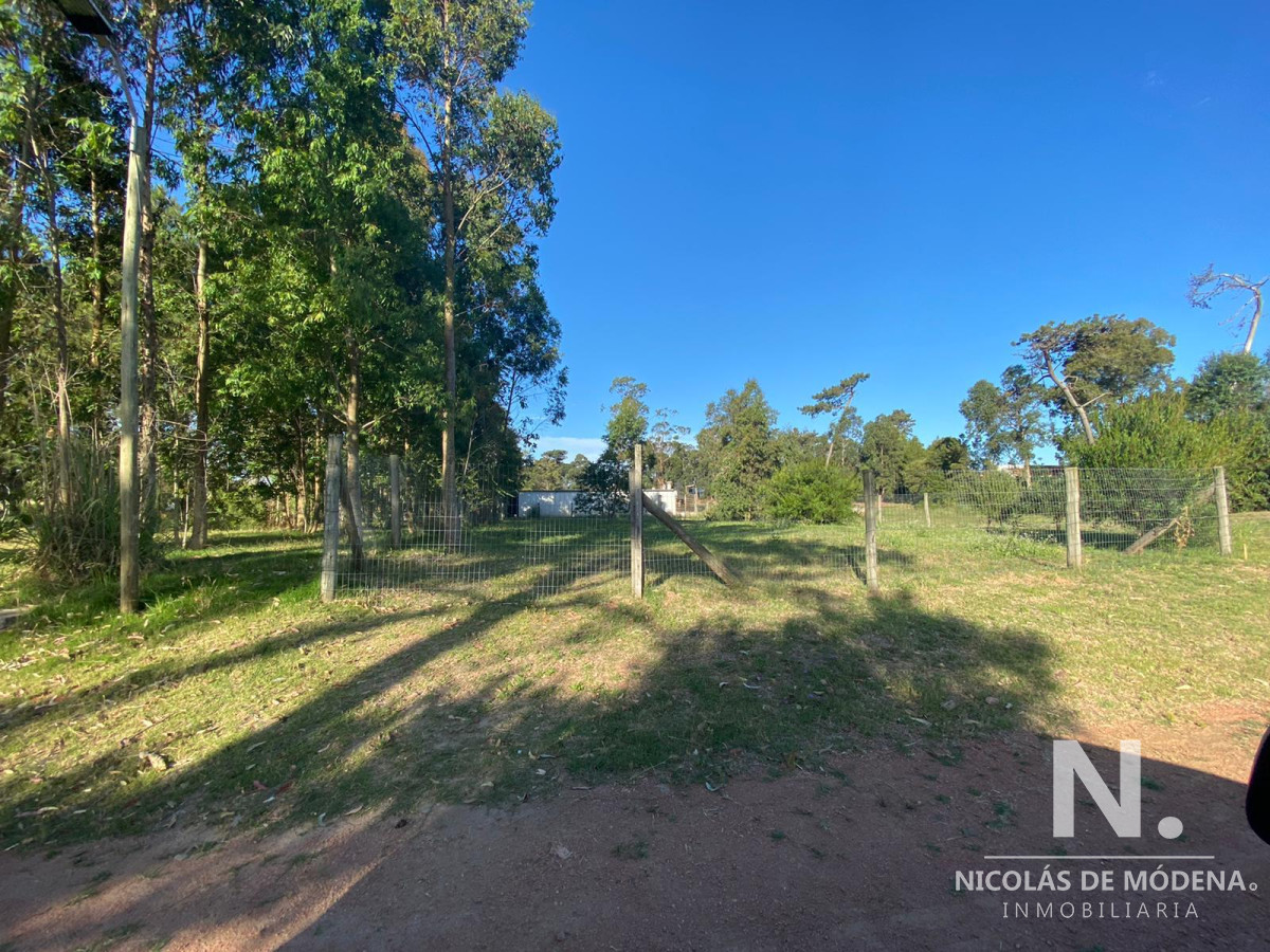 Marly - GoPunta - Portal Inmobiliario de Punta del Este - Maldonado