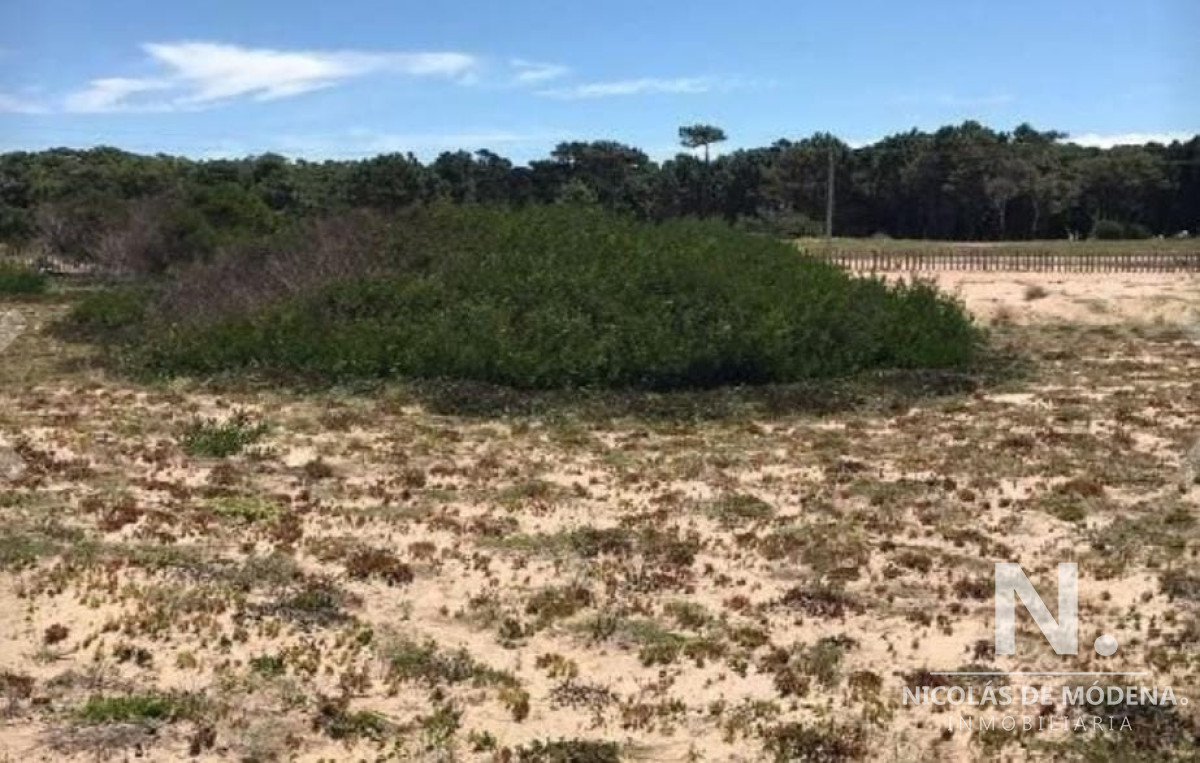 San Vicente - GoPunta - Portal Inmobiliario de Punta del Este - Maldonado