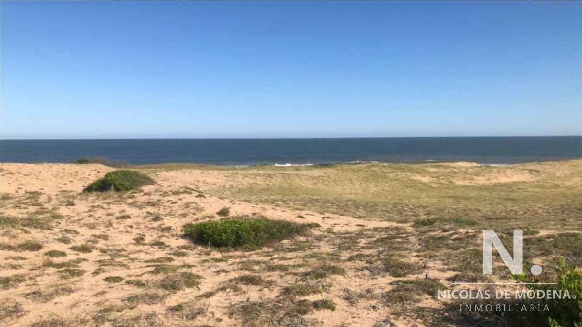 Sauce de Portezuelo - GoPunta - Portal Inmobiliario de Punta del Este - Maldonado
