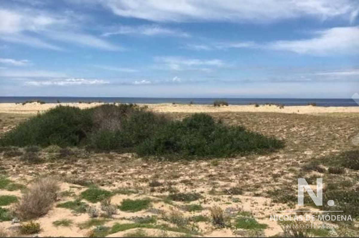San Vicente - GoPunta - Portal Inmobiliario de Punta del Este - Maldonado