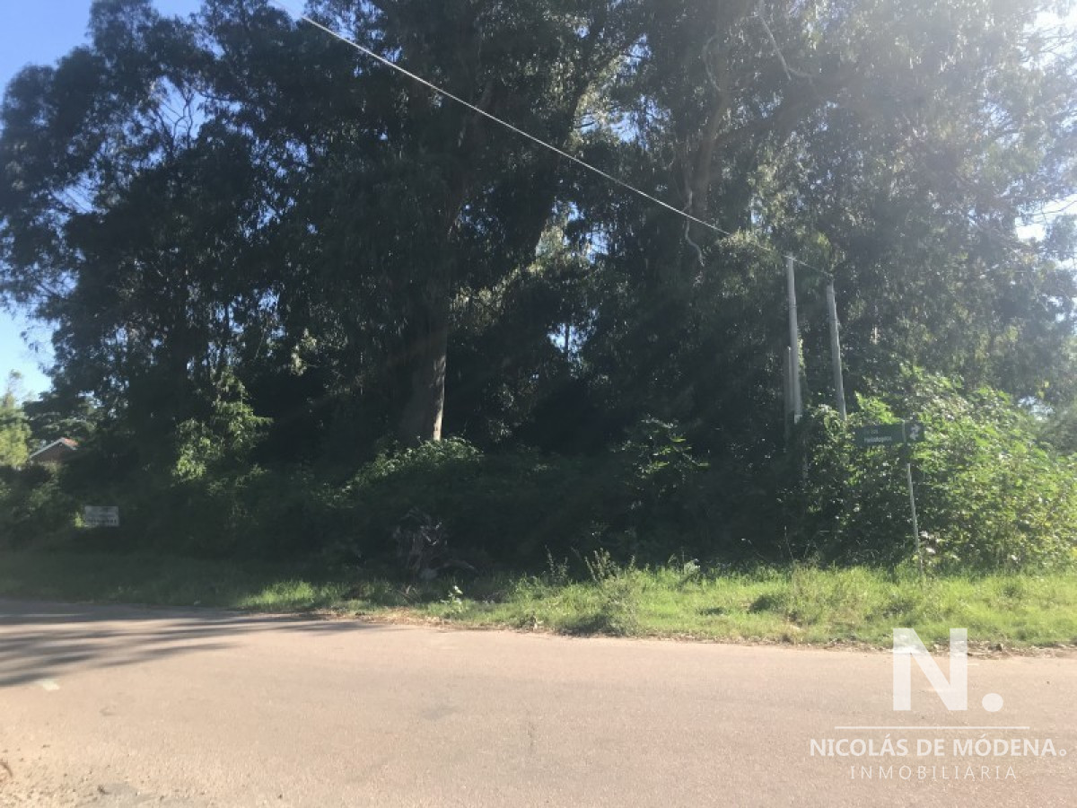 Punta del Este - GoPunta - Portal Inmobiliario de Punta del Este - Maldonado