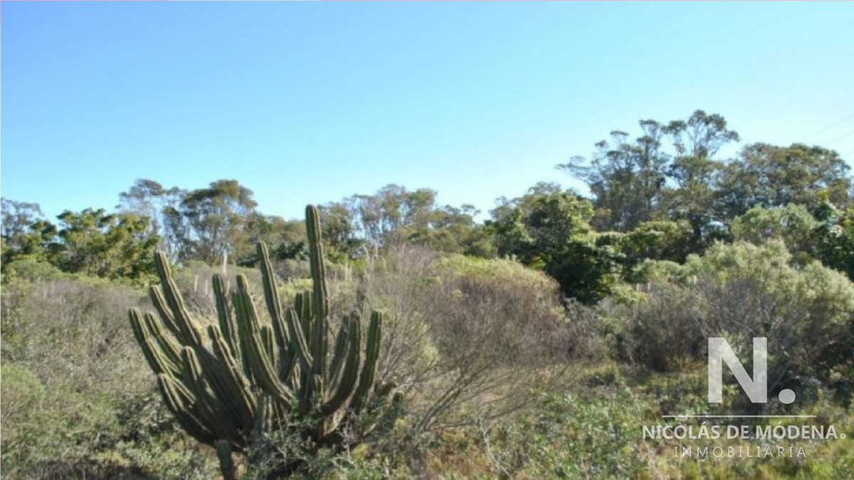 Club de La Barra - GoPunta - Portal Inmobiliario de Punta del Este - Maldonado