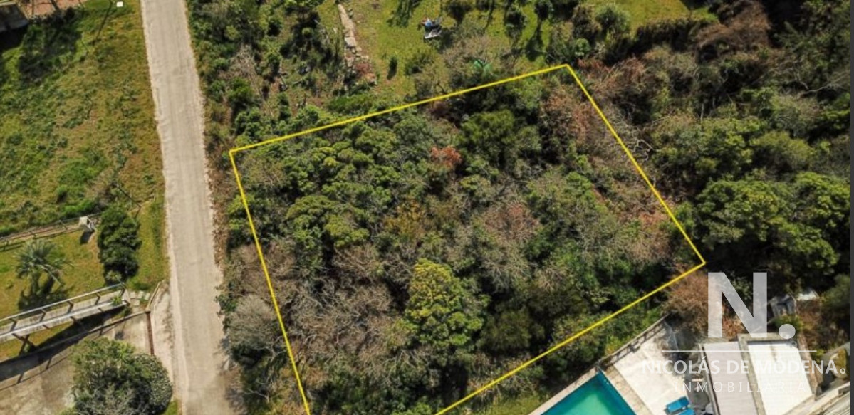 Lomo de la Ballena - GoPunta - Portal Inmobiliario de Punta del Este - Maldonado