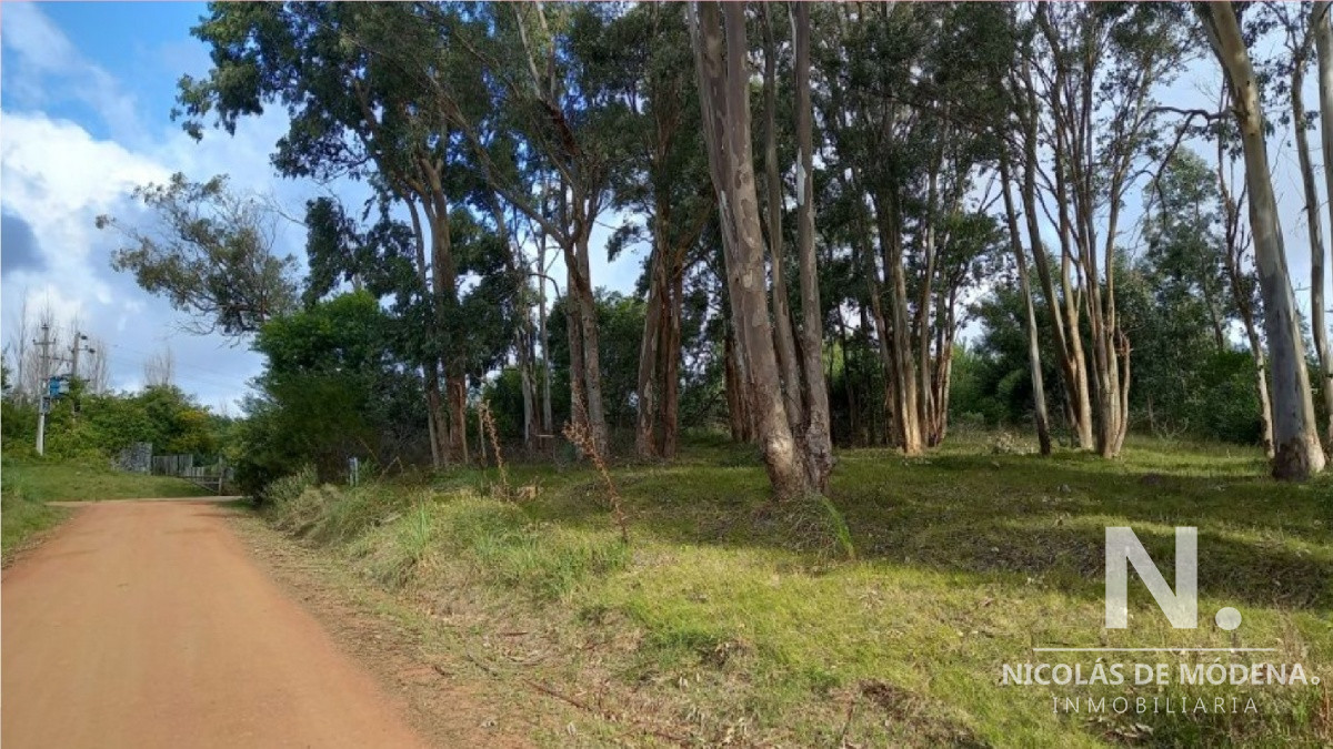 Barra Verde - GoPunta - Portal Inmobiliario de Punta del Este - Maldonado
