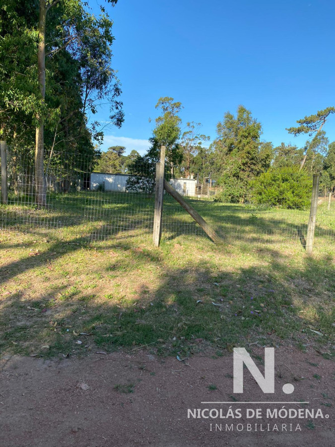 Marly - GoPunta - Portal Inmobiliario de Punta del Este - Maldonado