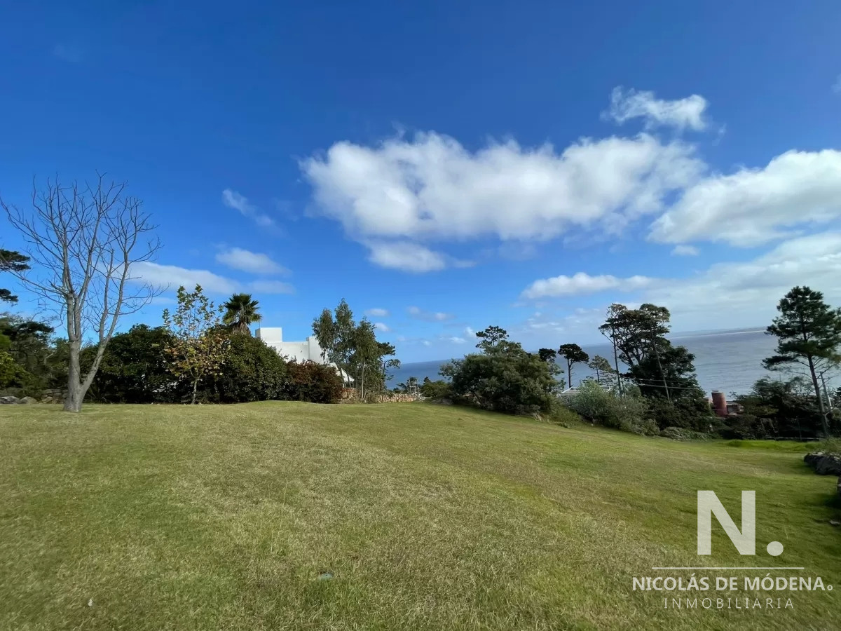 Lomo de la Ballena - GoPunta - Portal Inmobiliario de Punta del Este - Maldonado