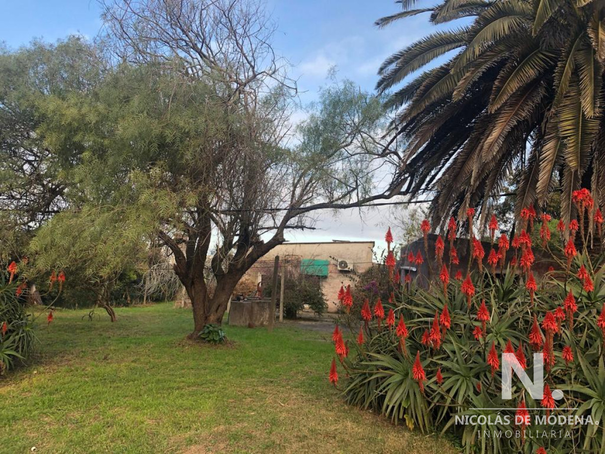 El Chorro - GoPunta - Portal Inmobiliario de Punta del Este - Maldonado