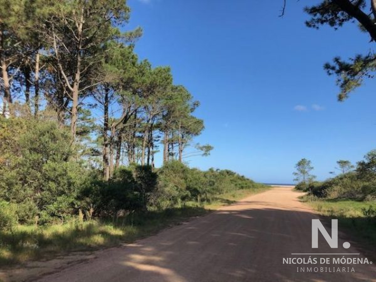 Maldonado - GoPunta - Portal Inmobiliario de Punta del Este - Maldonado