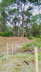 Venta Terreno en Punta Ballena, Gran Oportunidad