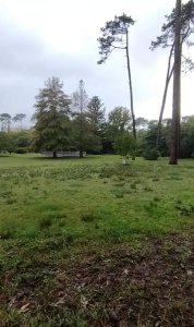 emocionante oportunidad de adquirir un terreno de 1000 metros cuadrados en San Rafael