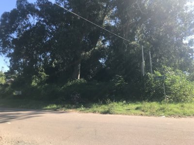 Terreno en Punta del Este, Punta del Este