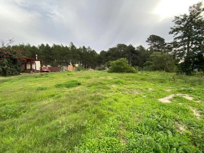 Impecable terreno en Piedras del Chileno